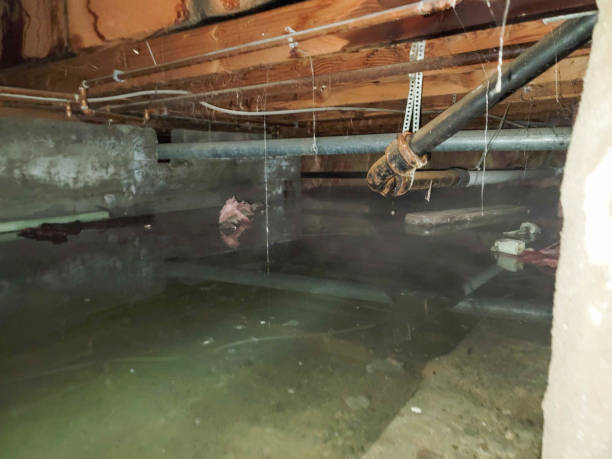 Professional Water damage restoration in Lake Monticello, VA